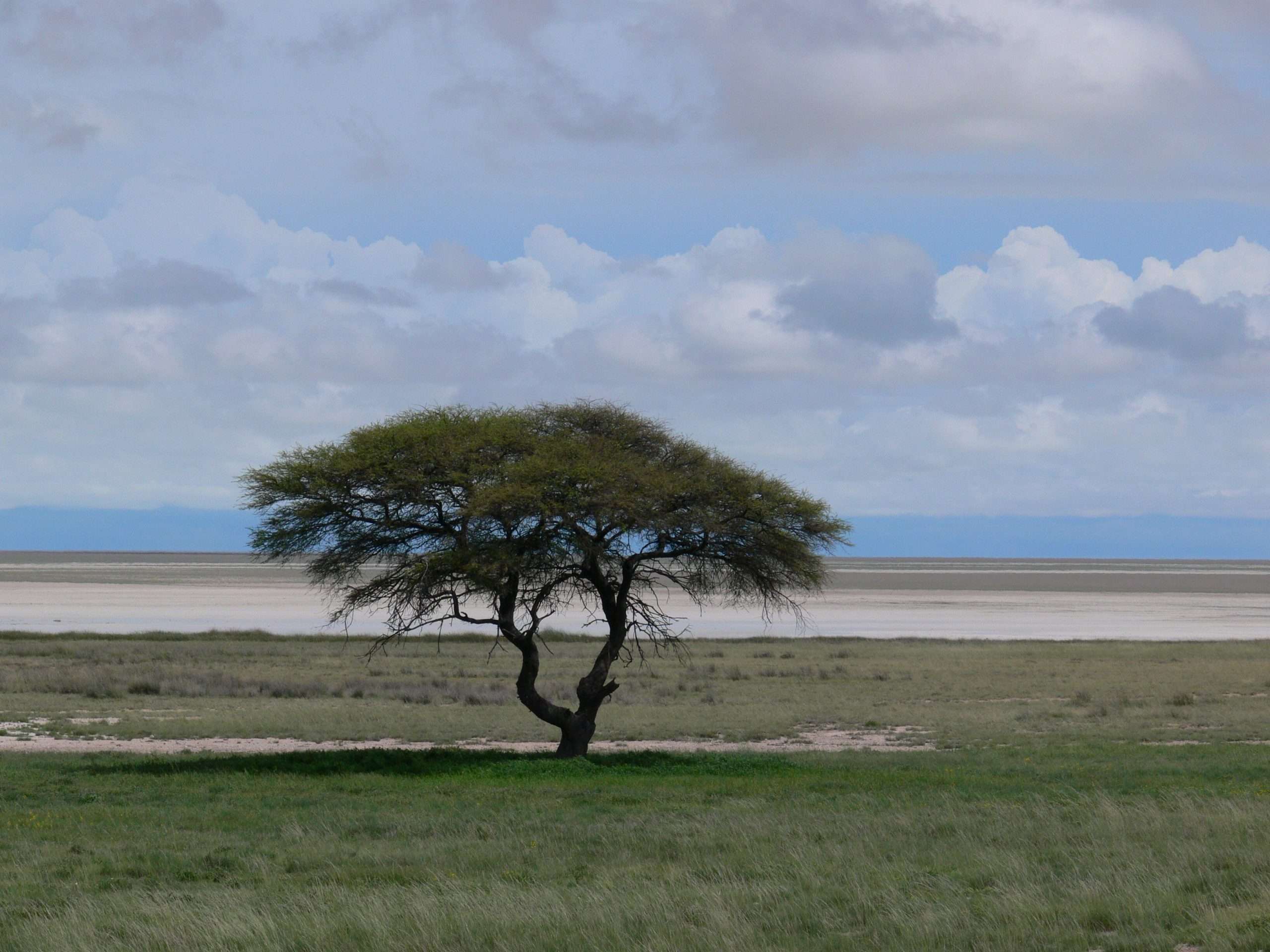 Namibian-Dirt-Road-scaled